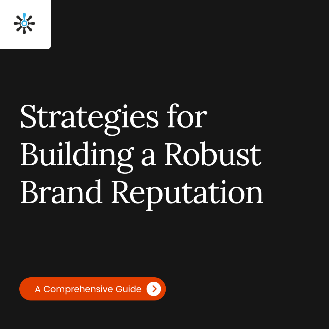 Title Page Reading "Strategies for Building a Robust Brand Reputation"